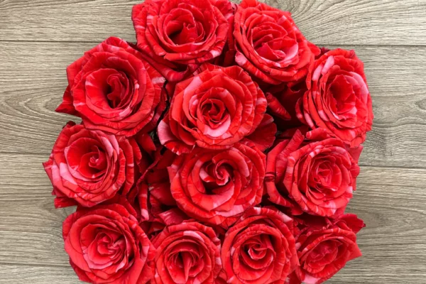 "Same Day Flower Delivery in Sydney